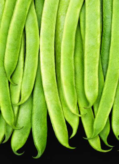 Runner-Beans-1-Edit